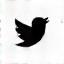 X (Twitter) Icon